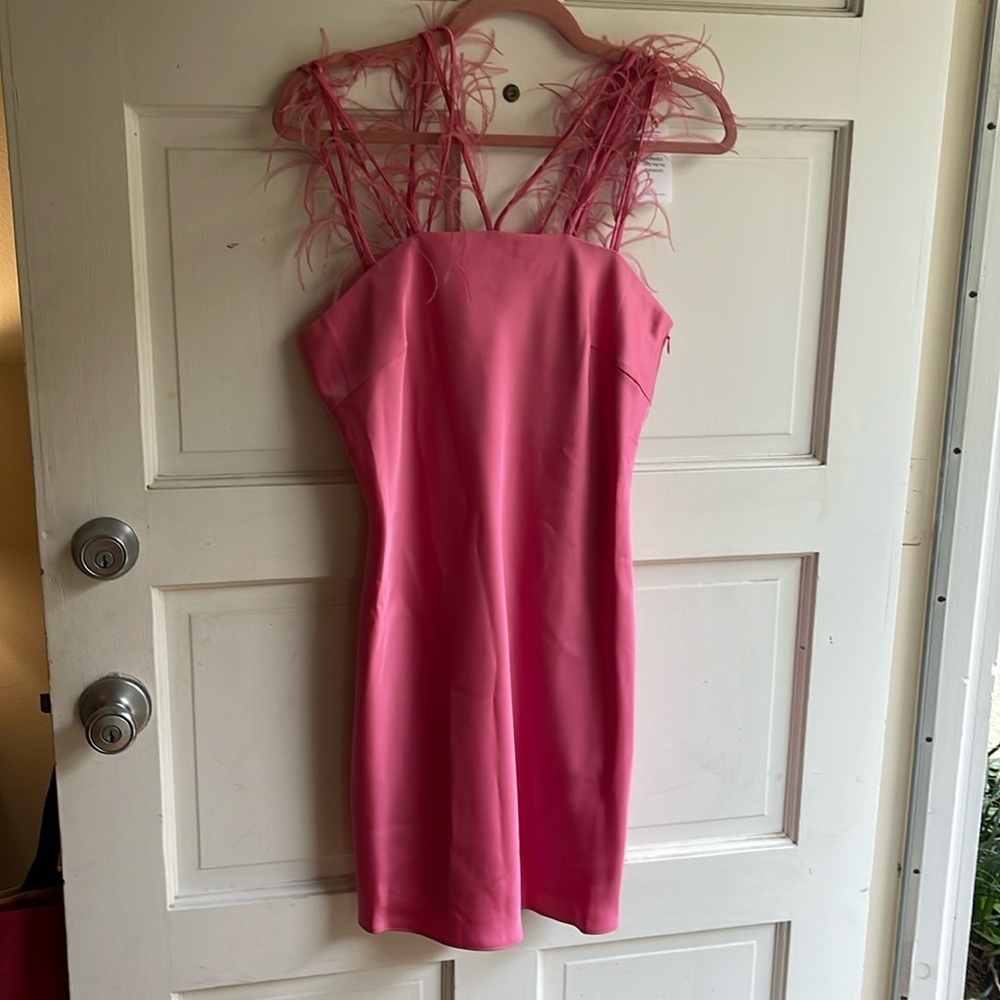 Cult Gaia Karosi Dress